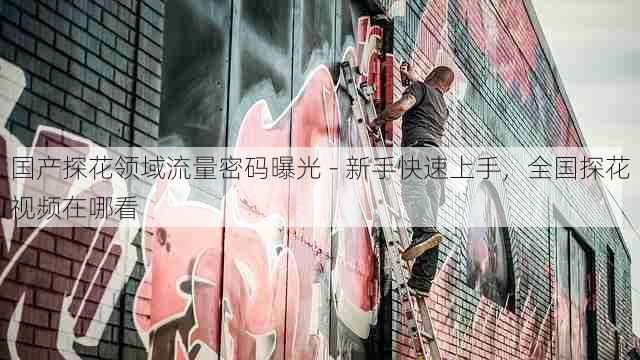 国产探花领域流量密码曝光 - 新手快速上手,全国探花视频在哪看