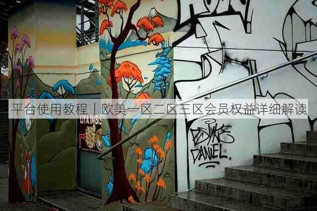 平台使用教程|欧美一区二区三区会员权益详细解读
