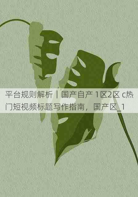 平台规则解析|国产自产 1区2区 c热门短视频标题写作指南,国产区_1