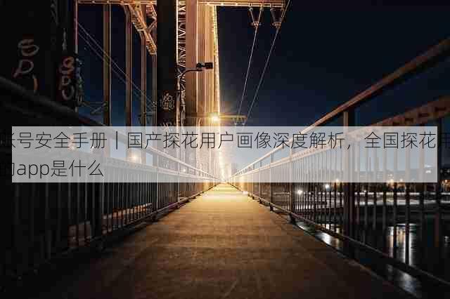 账号安全手册|国产探花用户画像深度解析,全国探花用的app是什么