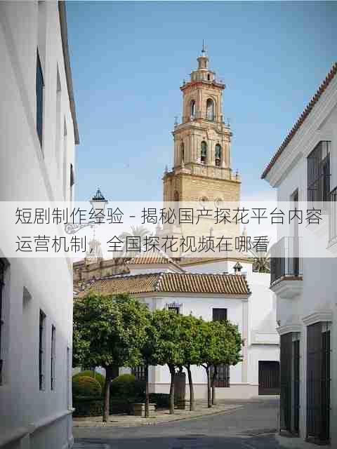 短剧制作经验 - 揭秘国产探花平台内容运营机制,全国探花视频在哪看