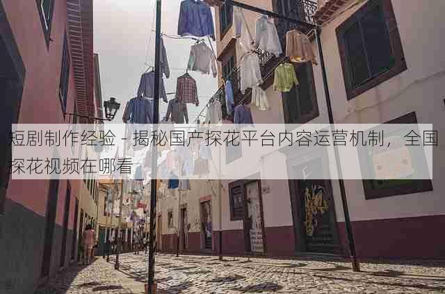 短剧制作经验 - 揭秘国产探花平台内容运营机制,全国探花视频在哪看