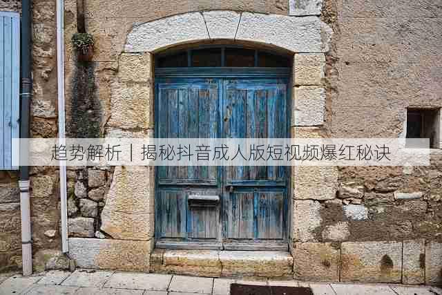 趋势解析|揭秘抖音成人版短视频爆红秘诀
