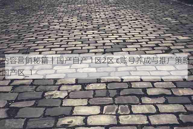 内容营销秘籍|国产自产 1区2区 c账号养成与推广策略,国产区_1