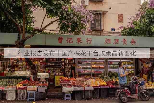 行业报告发布|国产探花平台政策最新变化