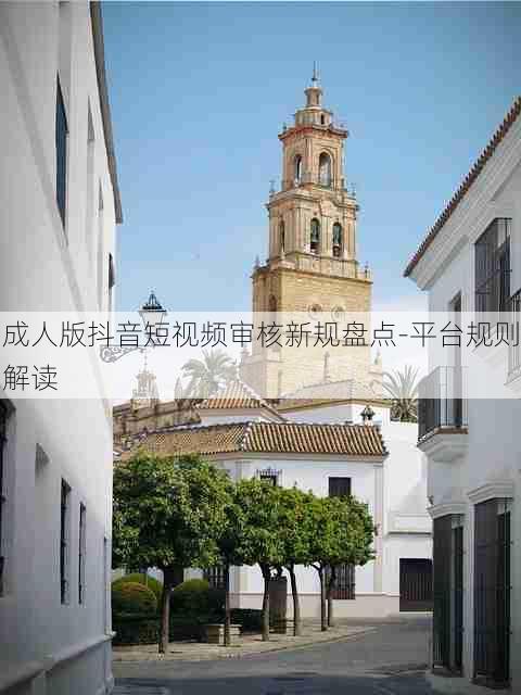 成人版抖音短视频审核新规盘点-平台规则解读