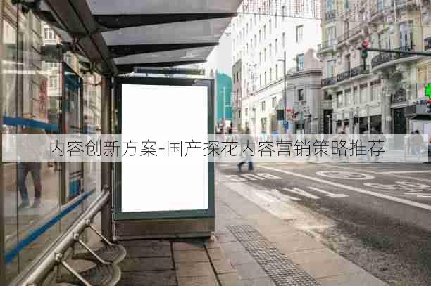 内容创新方案-国产探花内容营销策略推荐