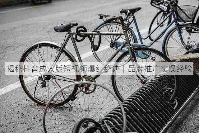 揭秘抖音成人版短视频爆红秘诀|品牌推广实操经验