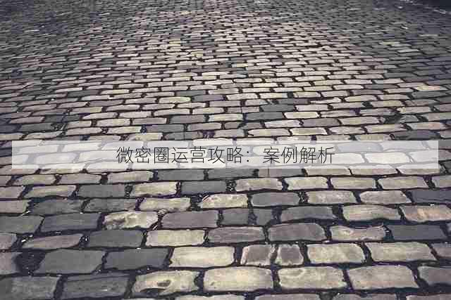 微密圈运营攻略:案例解析