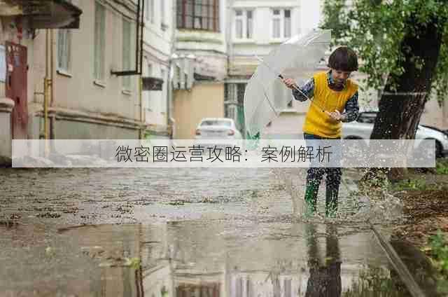 微密圈运营攻略:案例解析