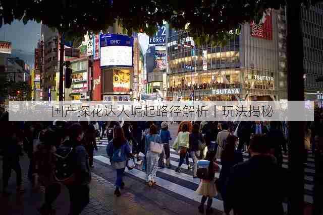 国产探花达人崛起路径解析|玩法揭秘