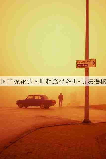 国产探花达人崛起路径解析-玩法揭秘