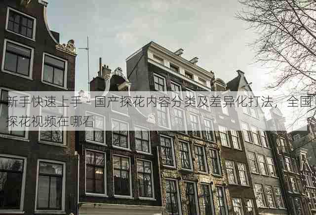 新手快速上手 - 国产探花内容分类及差异化打法,全国探花视频在哪看