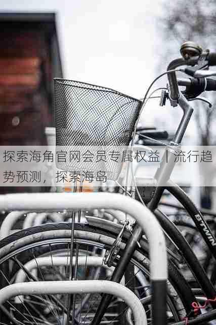 探索海角官网会员专属权益｜流行趋势预测，探索海岛
