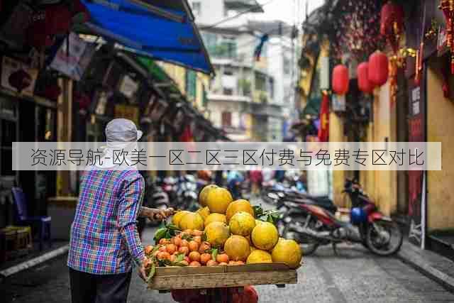资源导航-欧美一区二区三区付费与免费专区对比