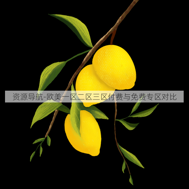 资源导航-欧美一区二区三区付费与免费专区对比