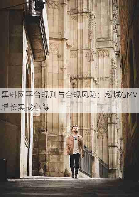 黑料网平台规则与合规风险:私域GMV增长实战心得