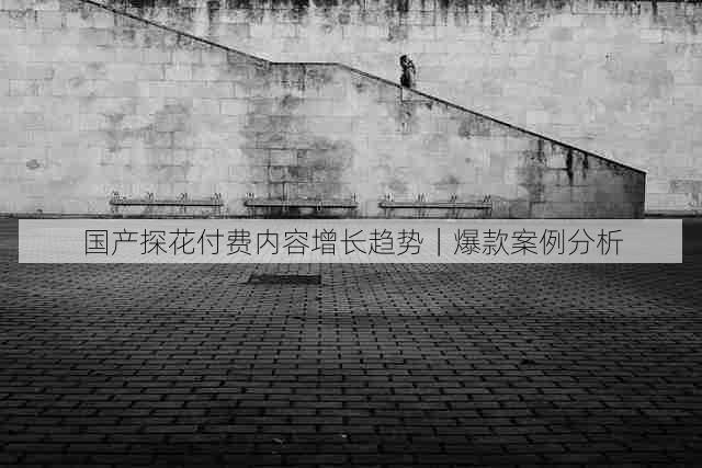 国产探花付费内容增长趋势|爆款案例分析