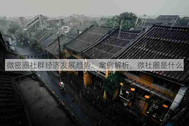 微密圈社群经济发展趋势:案例解析,微社圈是什么