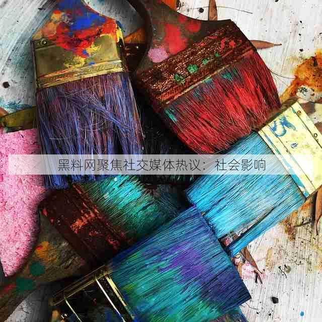 黑料网聚焦社交媒体热议:社会影响