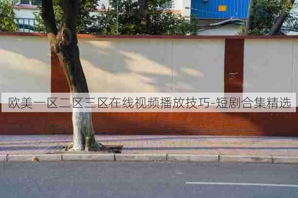 欧美一区二区三区在线视频播放技巧-短剧合集精选