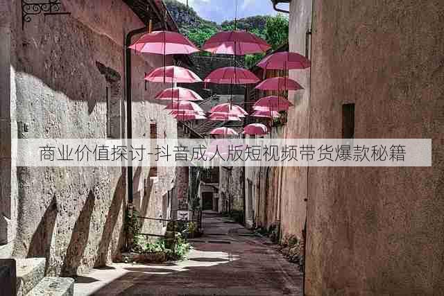 商业价值探讨-抖音成人版短视频带货爆款秘籍