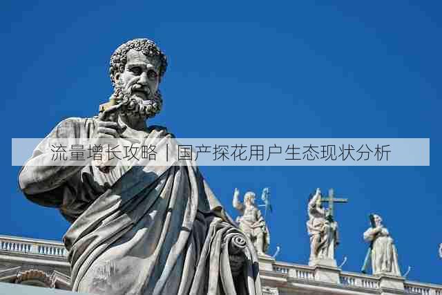 流量增长攻略|国产探花用户生态现状分析