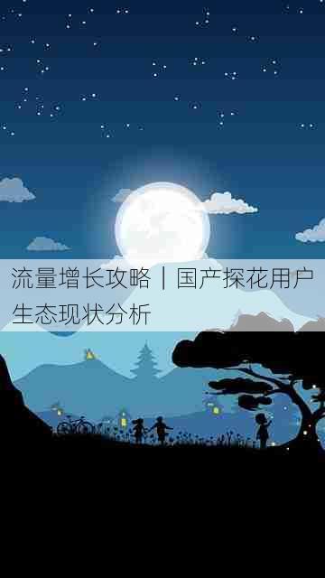 流量增长攻略|国产探花用户生态现状分析
