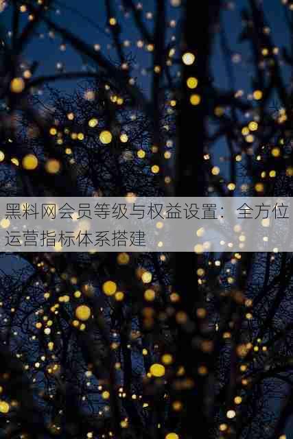 黑料网会员等级与权益设置:全方位运营指标体系搭建