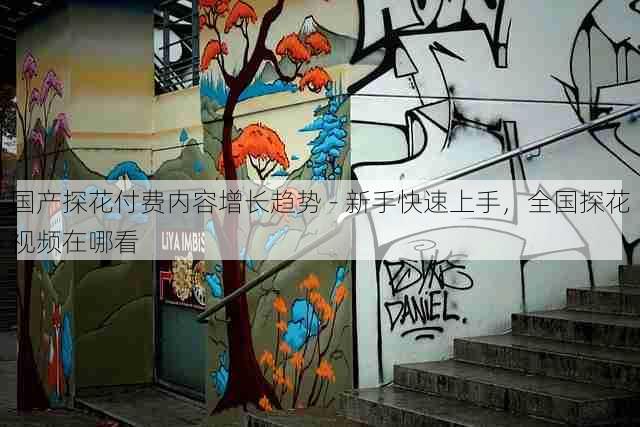 国产探花付费内容增长趋势 - 新手快速上手，全国探花视频在哪看