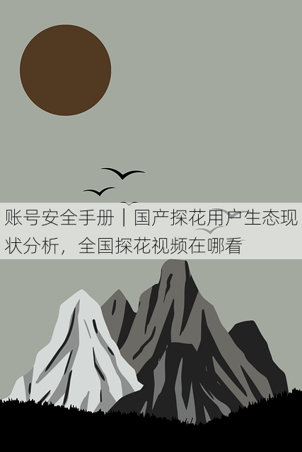 账号安全手册|国产探花用户生态现状分析,全国探花视频在哪看