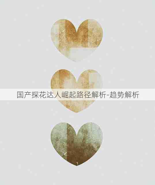 国产探花达人崛起路径解析-趋势解析