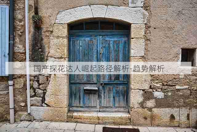 国产探花达人崛起路径解析-趋势解析