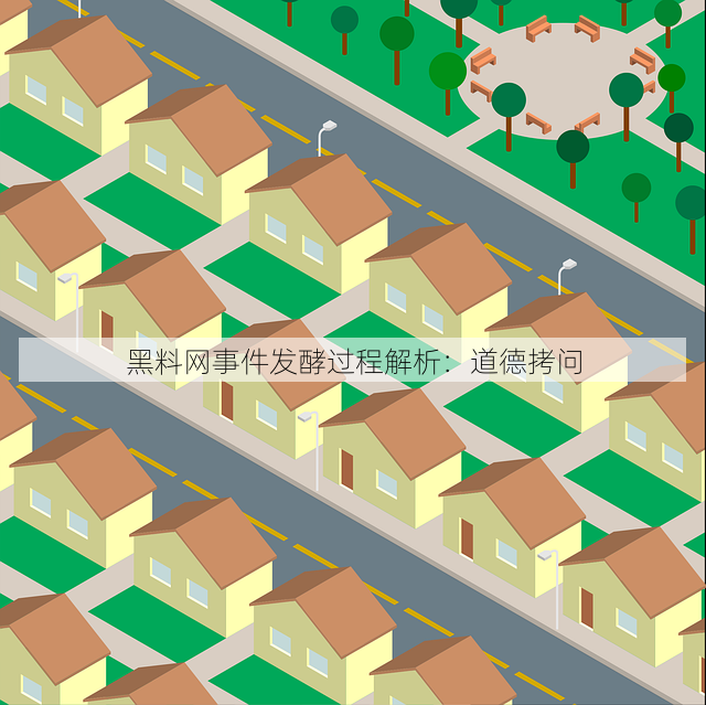 黑料网事件发酵过程解析:道德拷问