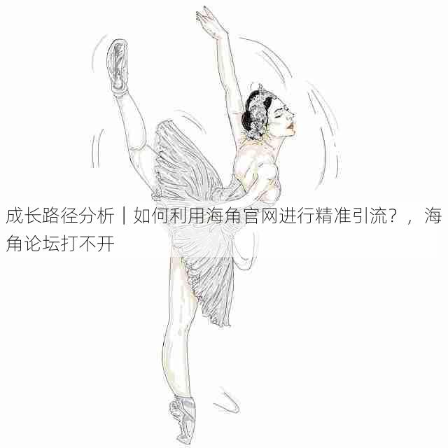 成长路径分析|如何利用海角官网进行精准引流?,海角论坛打不开