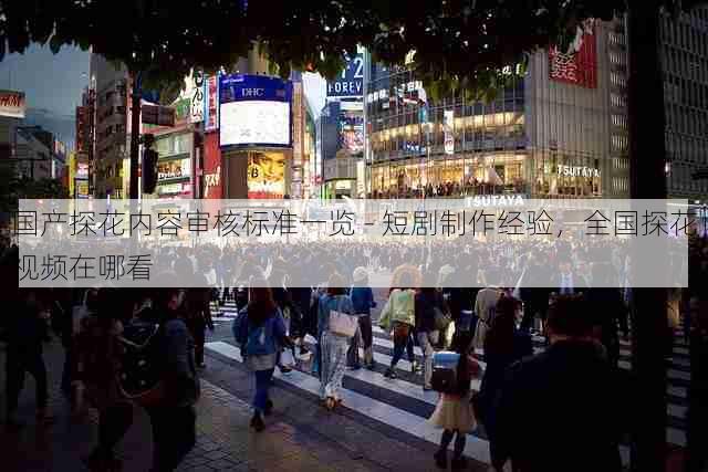 国产探花内容审核标准一览 - 短剧制作经验,全国探花视频在哪看