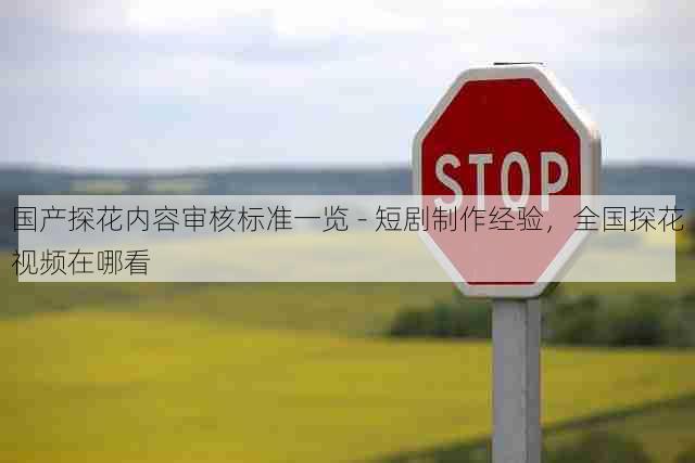 国产探花内容审核标准一览 - 短剧制作经验,全国探花视频在哪看
