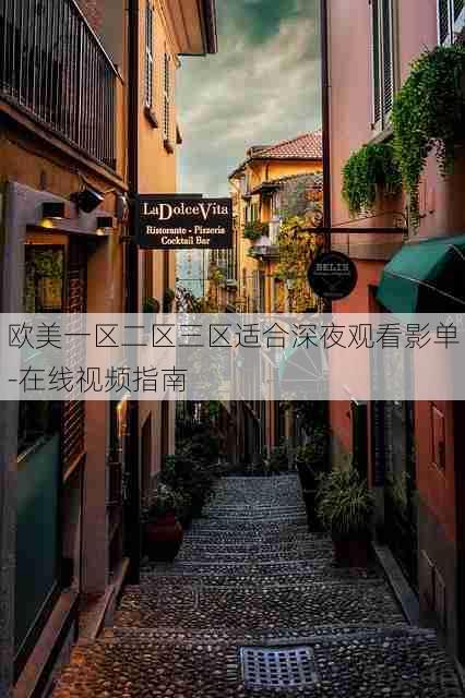 欧美一区二区三区适合深夜观看影单-在线视频指南